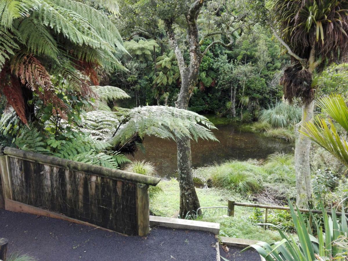 شقة Taranaki Experience نيو بلايموث المظهر الخارجي الصورة