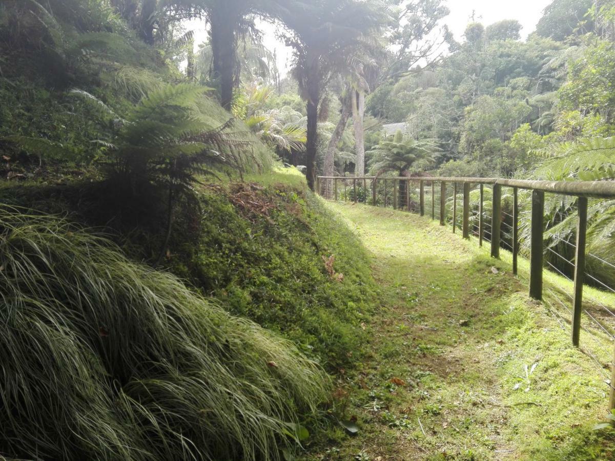 شقة Taranaki Experience نيو بلايموث المظهر الخارجي الصورة