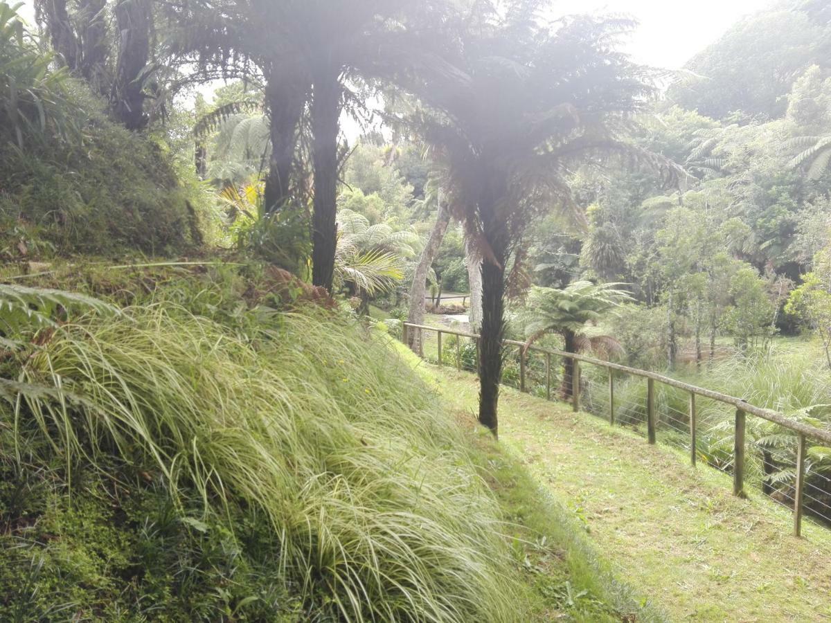 شقة Taranaki Experience نيو بلايموث المظهر الخارجي الصورة